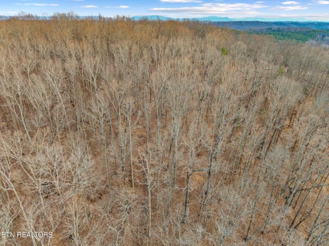 Tiny photo for 00 County Road 38, Riceville, TN 37370 (MLS # 1356117)