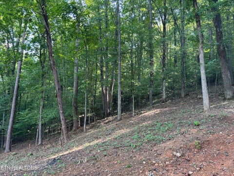 Tiny photo for 00 County Road 38, Riceville, TN 37370 (MLS # 1356117)