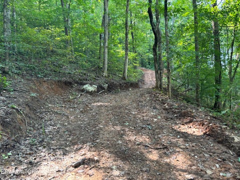 Tiny photo for 00 County Road 38, Riceville, TN 37370 (MLS # 1356117)