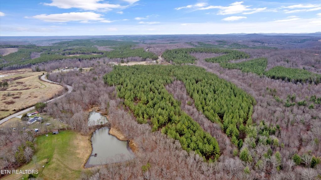 Photo of 0 Morgan Co Hwy, Sunbright, TN 37872 (MLS # 1320332)