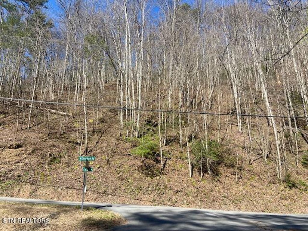 Photo of 0 N Clear Fork Rd, Sevierville, TN 37862 (MLS # 1314661)