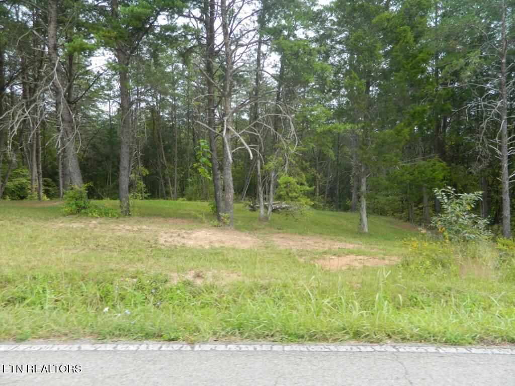 Photo of 5.957 Acres Emory Rd, Blaine, TN 37709 (MLS # 1276376)