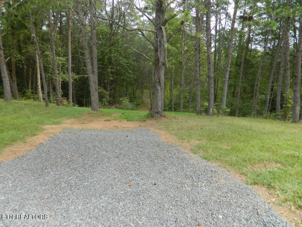 Photo of 5.957 Acres Emory Rd, Blaine, TN 37709 (MLS # 1276376)
