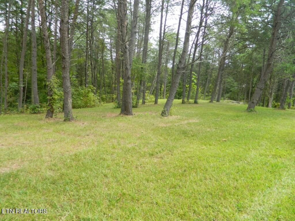 Photo of 5.957 Acres Emory Rd, Blaine, TN 37709 (MLS # 1276376)