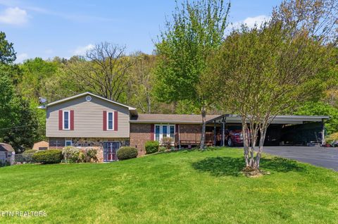 Photo of 3118 Ellistown Rd, Knoxville, TN 37924 (MLS # 1336342)
