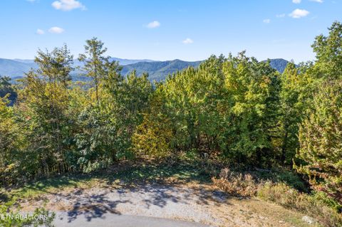Photo of 111 Settlers View Lane, Sevierville, TN 37862 (MLS # 1319040)