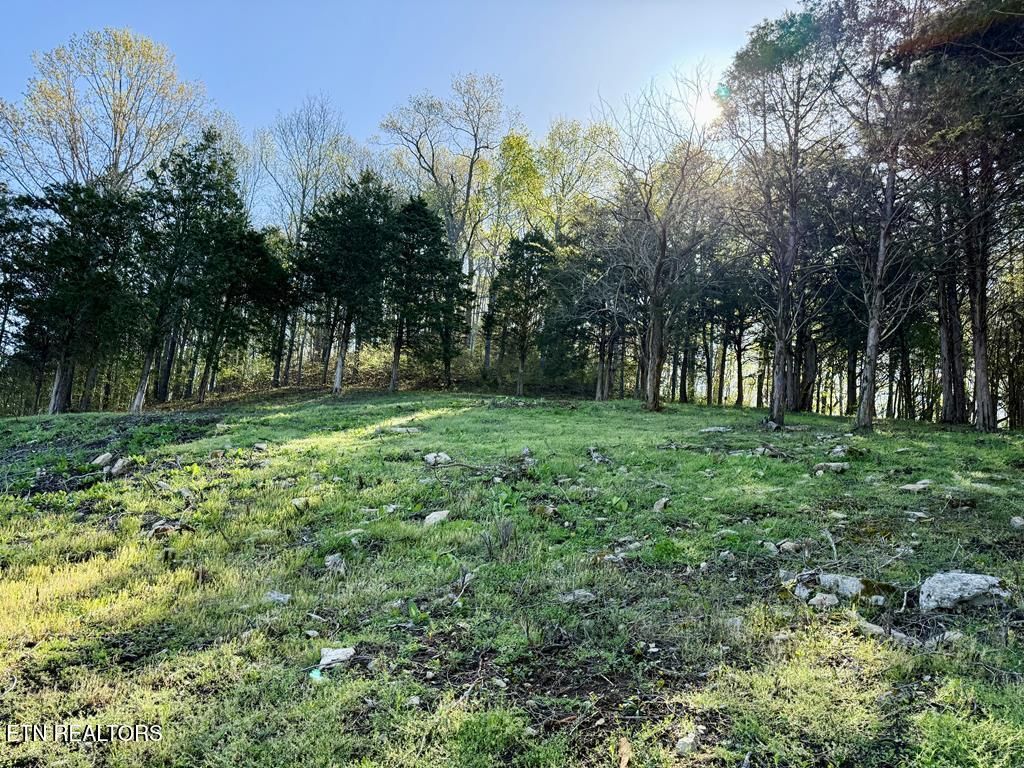 Photo of Harbor Pointe Drive, Silver Point, TN 38582 (MLS # 1324429)