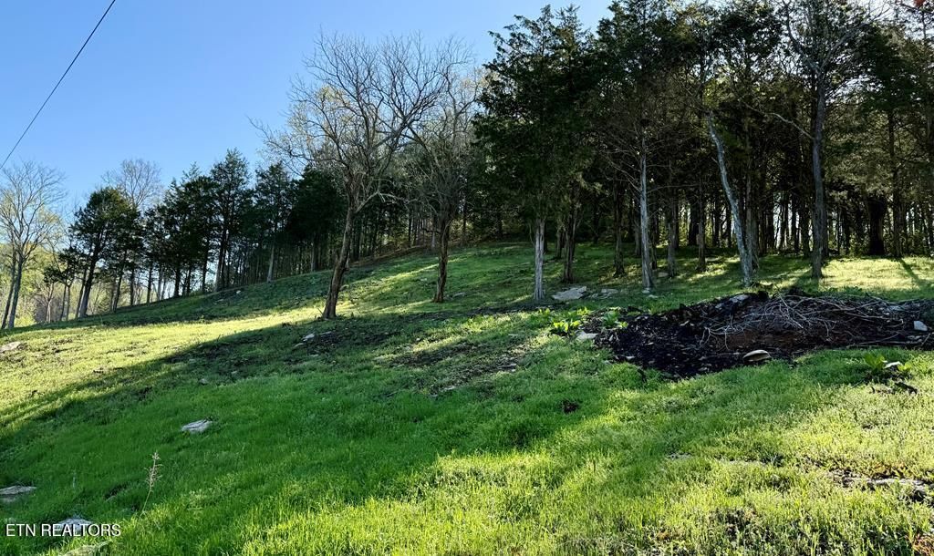 Photo of Harbor Pointe Drive, Silver Point, TN 38582 (MLS # 1324429)