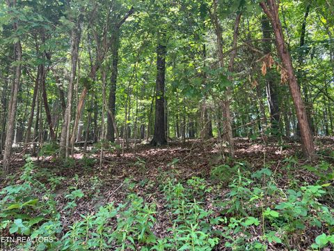 Photo of 211 Wahuhu Lane, Loudon, TN 37774 (MLS # 1341451)