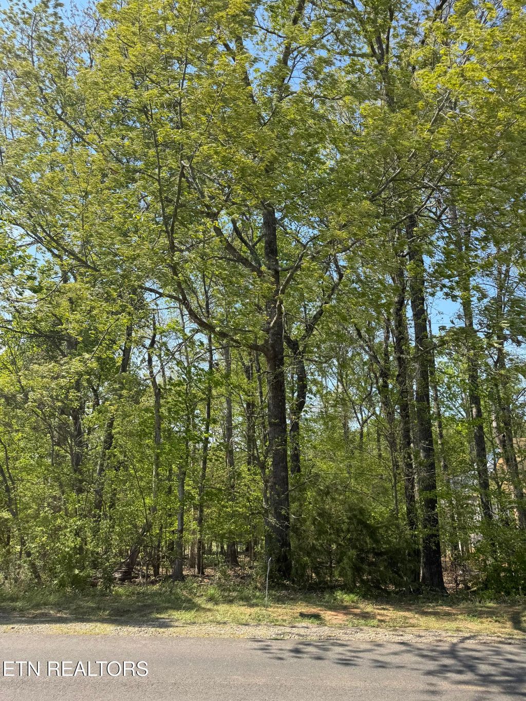 Photo of 443 Kahite Trail Trl, Vonore, TN 37885 (MLS # 1297986)