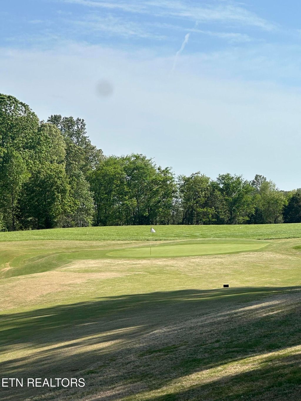 Photo of 443 Kahite Trail Trl, Vonore, TN 37885 (MLS # 1297986)