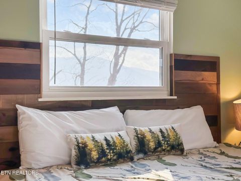 Tiny photo for 2701 Indigo Lane, Sevierville, TN 37862 (MLS # 1326376)