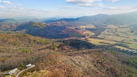 Tiny photo for 2701 Indigo Lane, Sevierville, TN 37862 (MLS # 1326376)