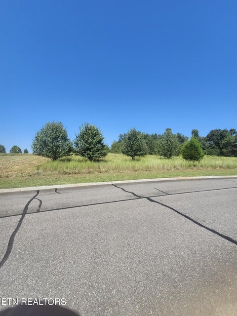 Photo of 24 Docks Of The Bay Drive, Harriman, TN 37748 (MLS # 1355540)