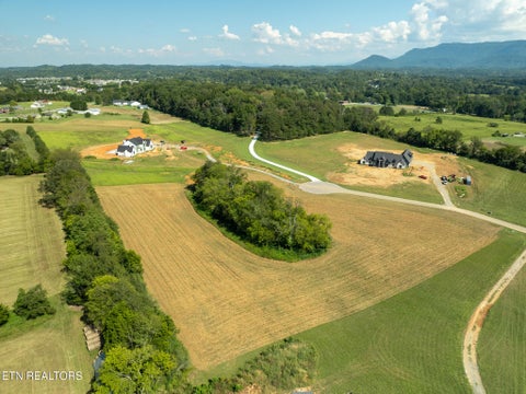 Tiny photo for 5 Tristar Way, Seymour, TN 37865 (MLS # 1356068)