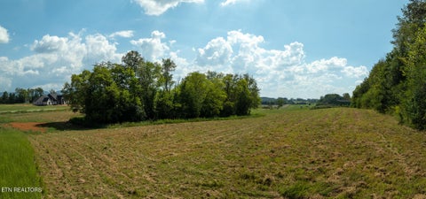 Tiny photo for 5 Tristar Way, Seymour, TN 37865 (MLS # 1356068)