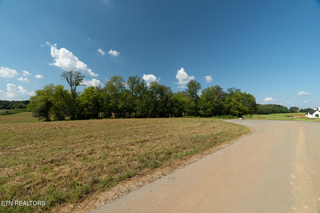 Photo of 5 Tristar Way, Seymour, TN 37865 (MLS # 1356068)