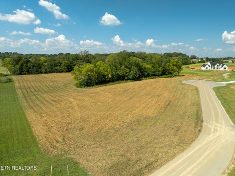 Tiny photo for 5 Tristar Way, Seymour, TN 37865 (MLS # 1356068)