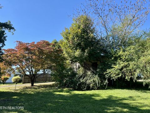 Tiny photo for 1215 George Ave, Jefferson City, TN 37760 (MLS # 1318741)