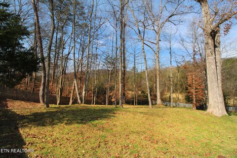 Tiny photo for 4816 E Raccoon Valley Drive, Knoxville, TN 37938 (MLS # 1333788)