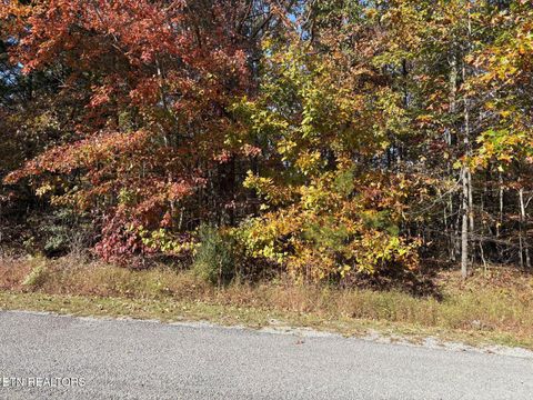 Photo of 5119 Cheyenne Drive, Crossville, TN 38572 (MLS # 1319999)