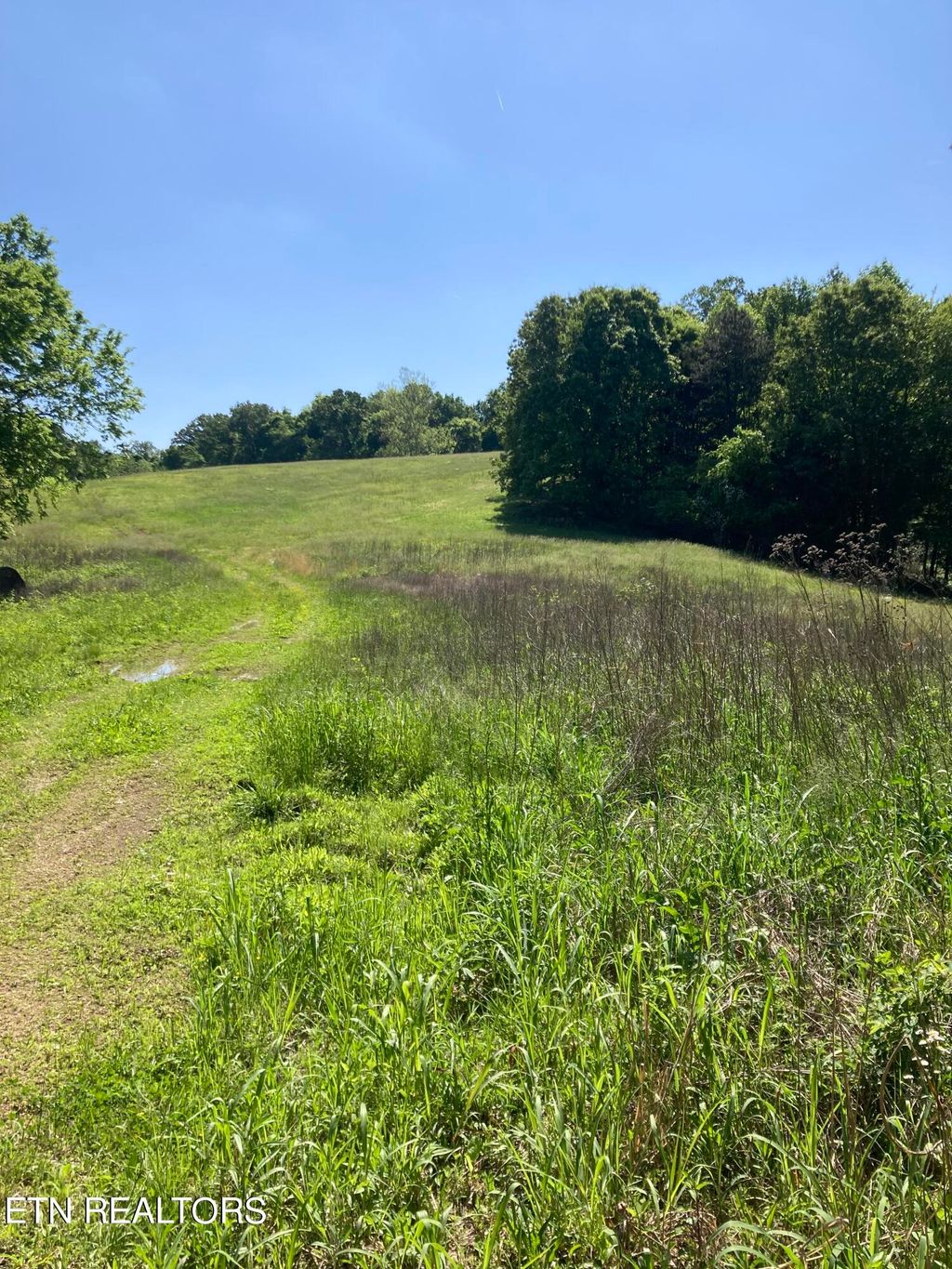 Photo of Sugarlimb Rd, Loudon, TN 37774 (MLS # 1261807)