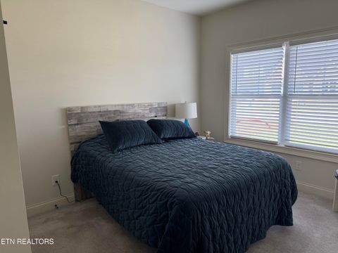 Tiny photo for 155 River Park Lane, Sweetwater, TN 37874 (MLS # 1335210)