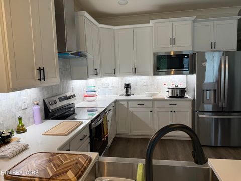 Tiny photo for 155 River Park Lane, Sweetwater, TN 37874 (MLS # 1335210)