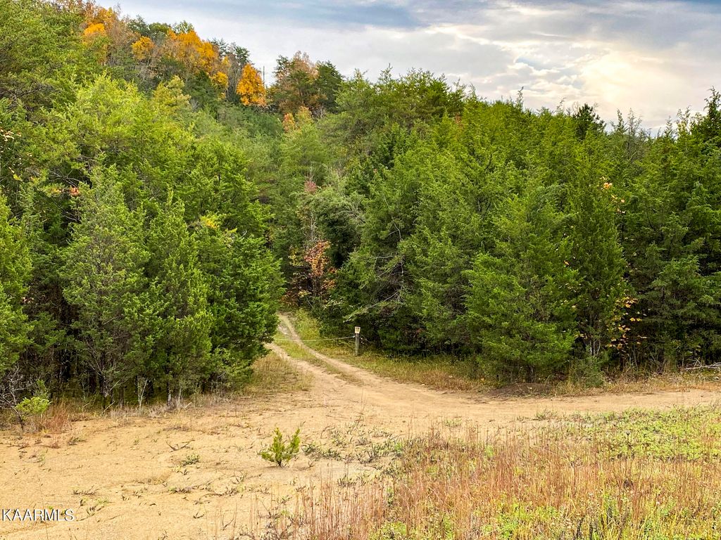 Photo of Parrotts Chapel Rd, Sevierville, TN 37876 (MLS # 1172538)