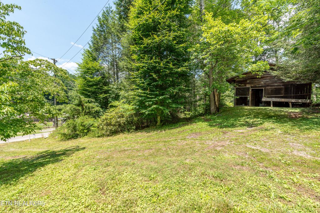 Photo of 219 Tom Henry Rd, Townsend, TN 37882 (MLS # 1266121)