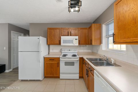 Tiny photo for 150 Red Bud Lane, Sevierville, TN 37876 (MLS # 1324141)