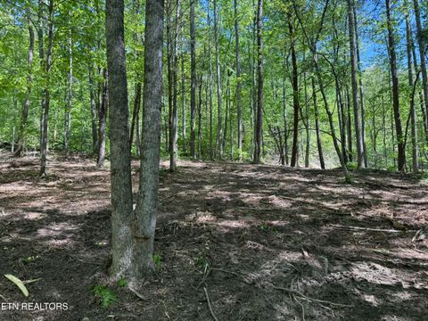 Tiny photo for 425 Smokey Rd, Rutledge, TN 37861 (MLS # 1338339)