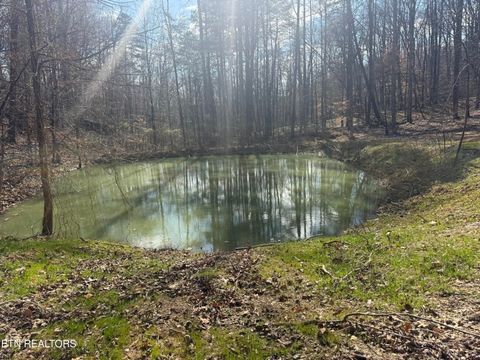 Tiny photo for 425 Smokey Rd, Rutledge, TN 37861 (MLS # 1338339)