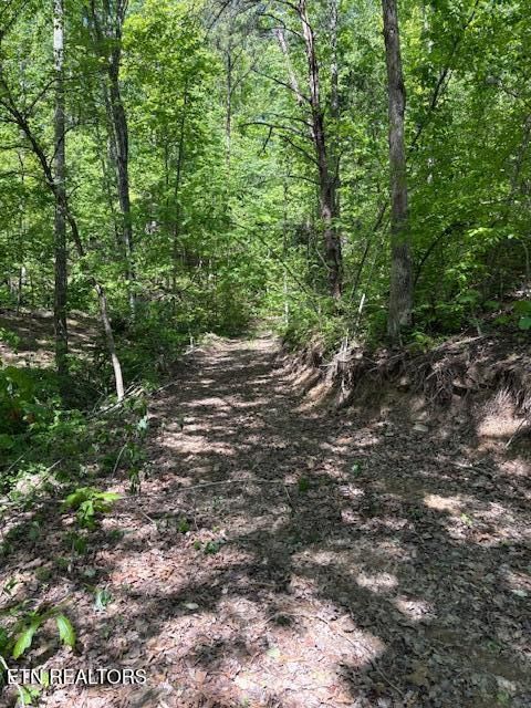 Tiny photo for 425 Smokey Rd, Rutledge, TN 37861 (MLS # 1338339)