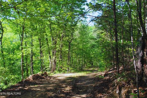 Photo of 425 Smokey Rd, Rutledge, TN 37861 (MLS # 1338339)