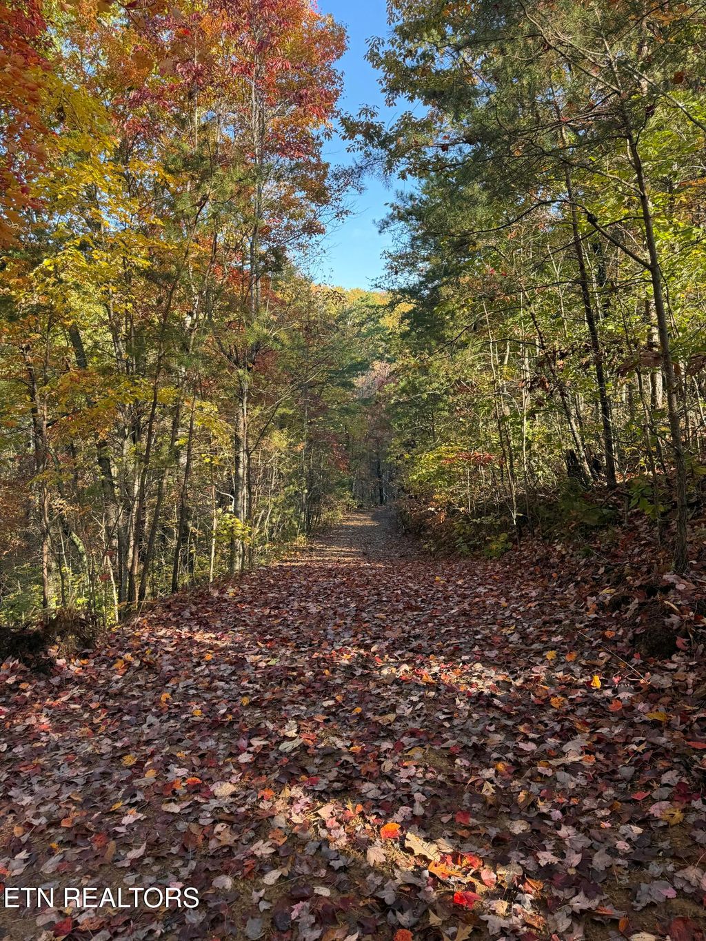 Photo of 425 Smokey Rd, Rutledge, TN 37861 (MLS # 1338339)