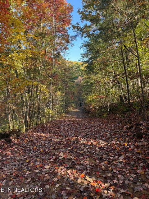 Photo of 425 Smokey Rd, Rutledge, TN 37861 (MLS # 1338339)