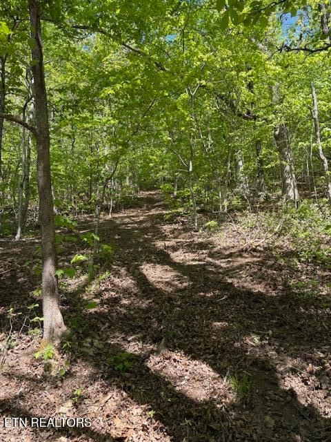 Tiny photo for 425 Smokey Rd, Rutledge, TN 37861 (MLS # 1338339)