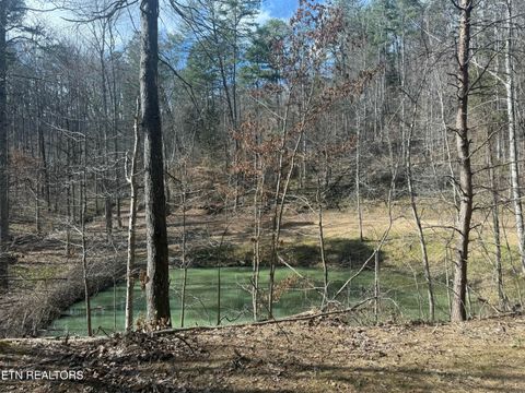 Tiny photo for 425 Smokey Rd, Rutledge, TN 37861 (MLS # 1338339)