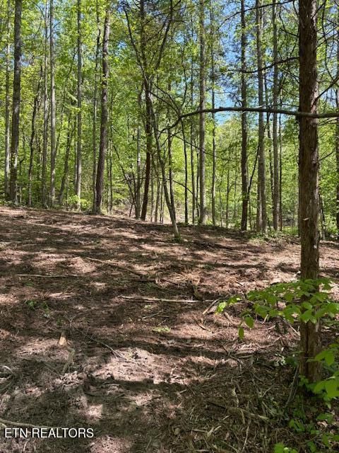 Tiny photo for 425 Smokey Rd, Rutledge, TN 37861 (MLS # 1338339)