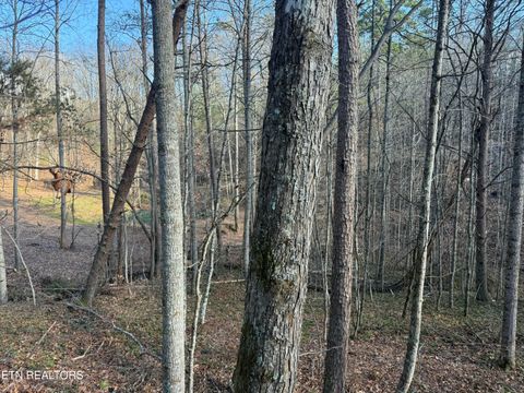 Tiny photo for 425 Smokey Rd, Rutledge, TN 37861 (MLS # 1338339)