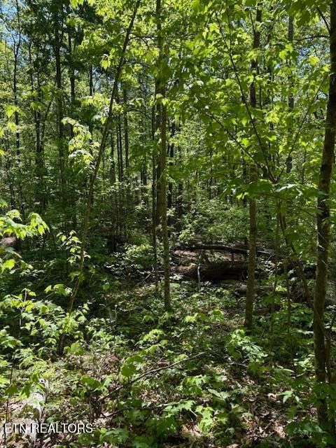 Tiny photo for 425 Smokey Rd, Rutledge, TN 37861 (MLS # 1338339)