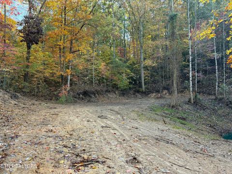 Tiny photo for 425 Smokey Rd, Rutledge, TN 37861 (MLS # 1338339)