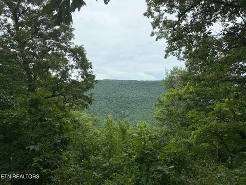 Tiny photo for 425 Smokey Rd, Rutledge, TN 37861 (MLS # 1338339)