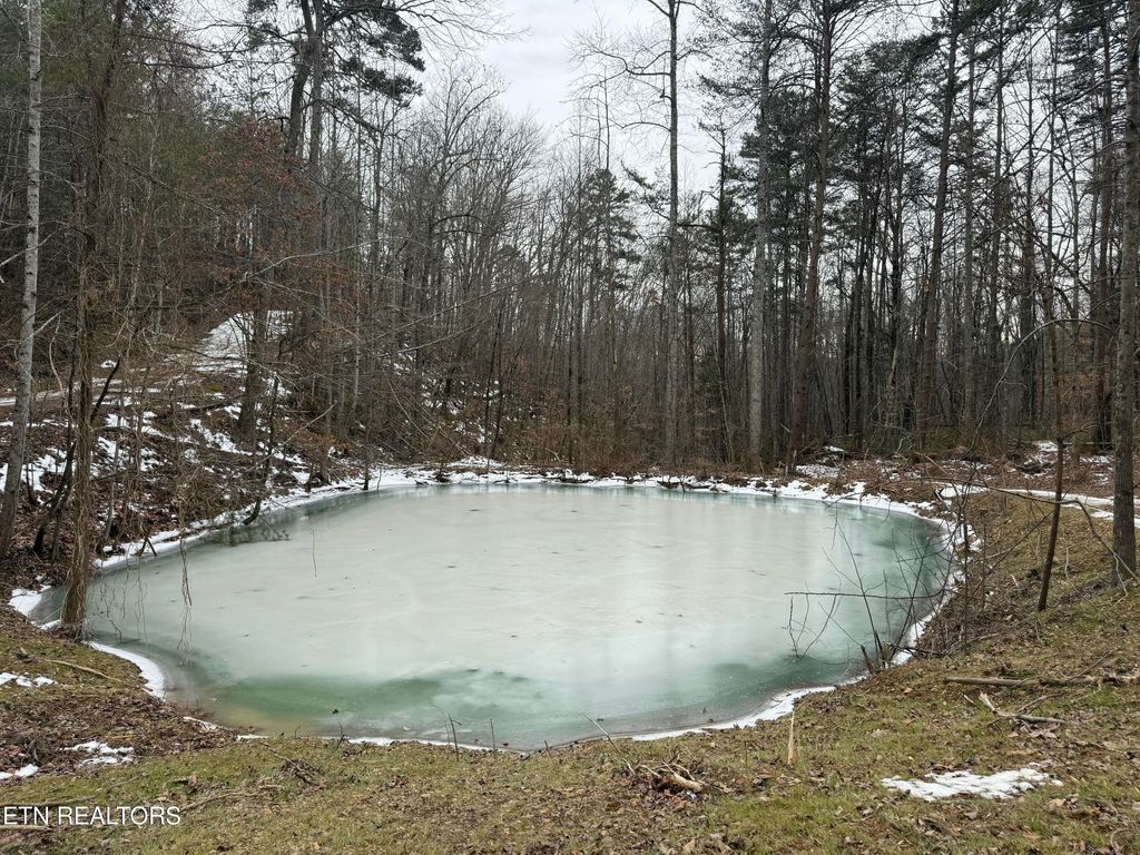 Photo of 425 Smokey Rd, Rutledge, TN 37861 (MLS # 1338339)