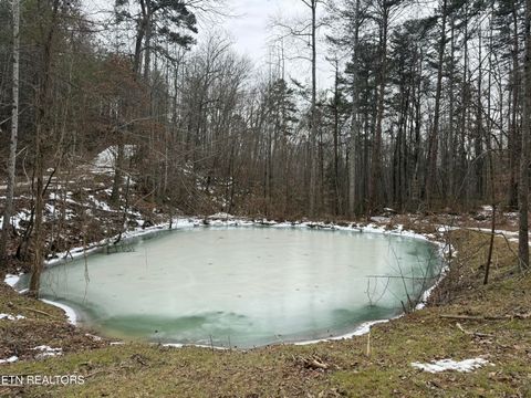 Tiny photo for 425 Smokey Rd, Rutledge, TN 37861 (MLS # 1338339)