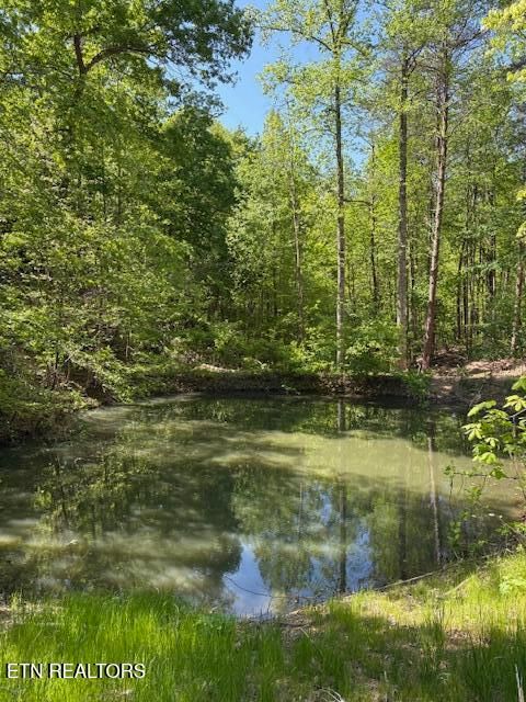 Tiny photo for 425 Smokey Rd, Rutledge, TN 37861 (MLS # 1338339)