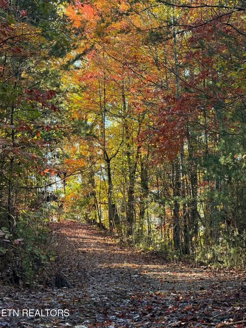 Tiny photo for 425 Smokey Rd, Rutledge, TN 37861 (MLS # 1338339)