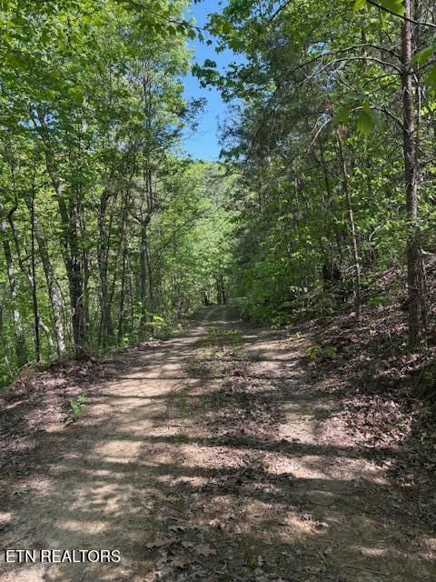 Tiny photo for 425 Smokey Rd, Rutledge, TN 37861 (MLS # 1338339)