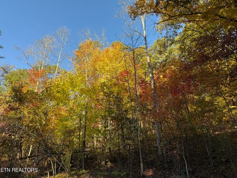 Tiny photo for 425 Smokey Rd, Rutledge, TN 37861 (MLS # 1338339)